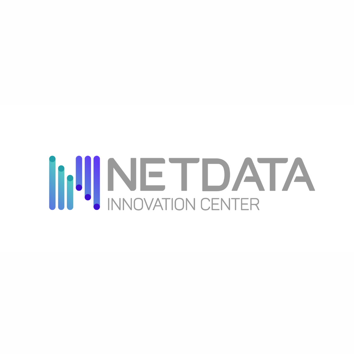 NetData Logo